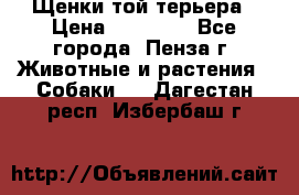 Щенки той терьера › Цена ­ 10 000 - Все города, Пенза г. Животные и растения » Собаки   . Дагестан респ.,Избербаш г.